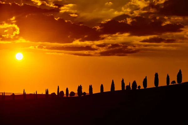 Cypress trees hill sunset valley Orcia Tuscany landscape Italy landmark — Stock Photo, Image