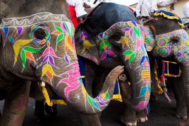 Rajasthan Hindistan Gangaur Festivali