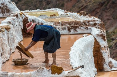 Maras salt mines peruvian Andes  Cuzco Peru clipart