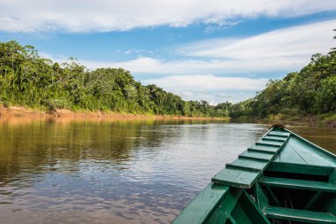 boat in the river in the peruvian Amazon jungle at Madre de Dios clipart
