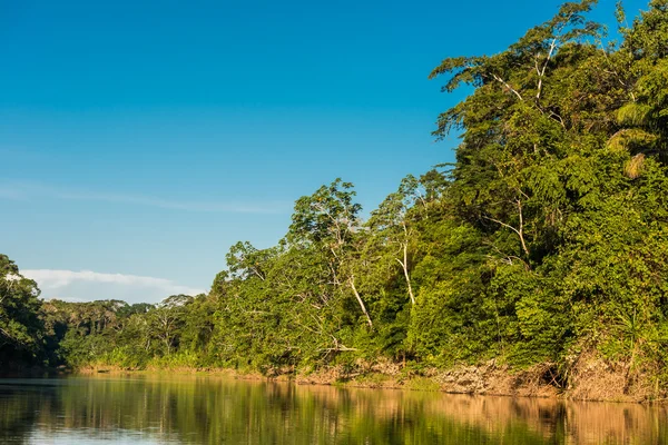 Heath řeka peruánské amazonské džungle — Stock fotografie