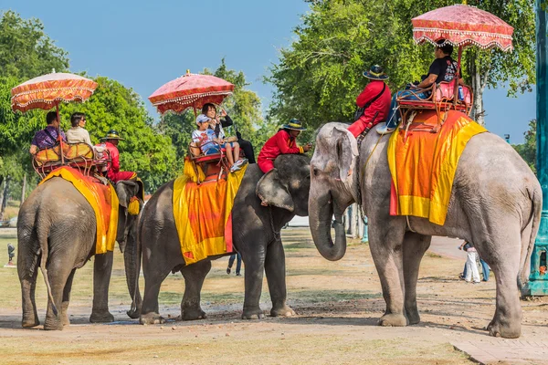 Turistas equitação elefantes Ayutthaya bangkok Tailândia — Fotografia de Stock