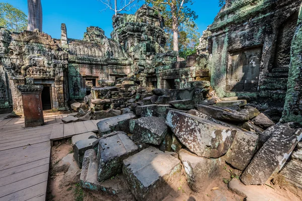 Ta prohm angkor Camboya de Wat — Foto de Stock