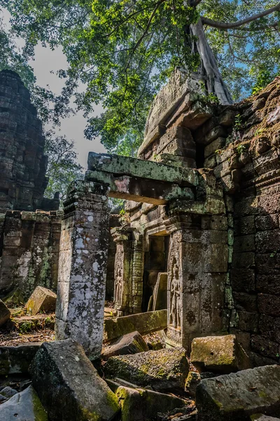 Ta prohm angkor wat Kambodży — Zdjęcie stockowe
