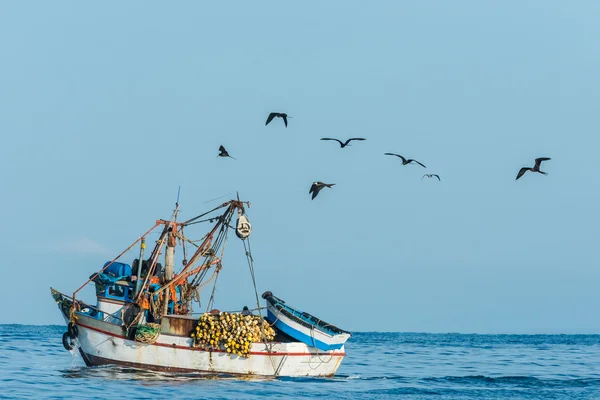鳥と漁船の群れ — ストック写真