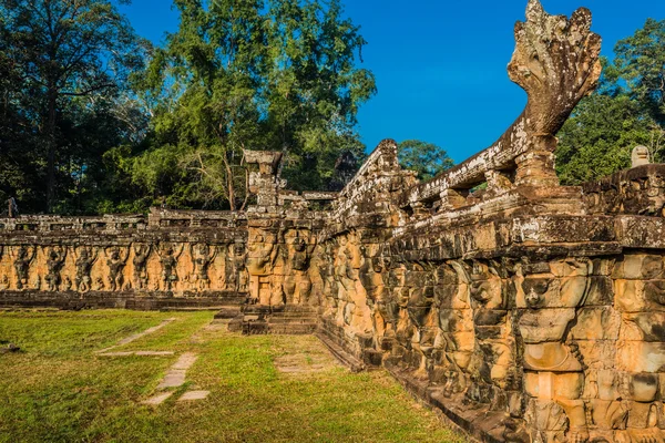 Olifant terras angkor thom Cambodja — Stockfoto