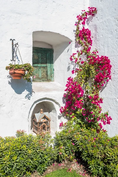 Stängda fönster och öppet fågelbur i Santa Catalina klostret — Stockfoto