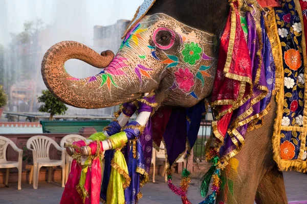 Gangaur Festival-Jaipur elephant portrait — Stock Photo, Image