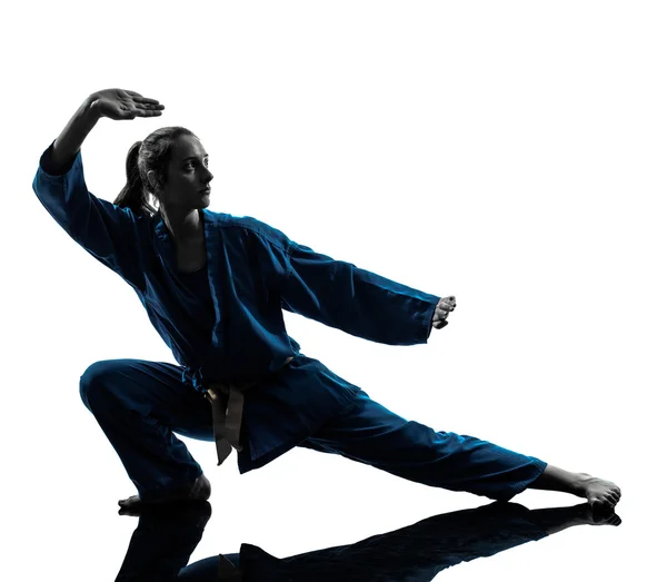 Karate vietvodao dövüş sanatları kadın siluet — Stok fotoğraf