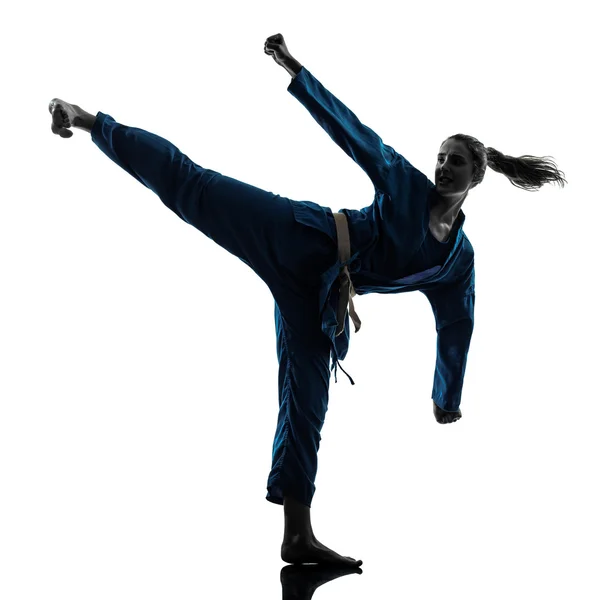 Karate vietvodao martial arts vrouw silhouet — Stockfoto