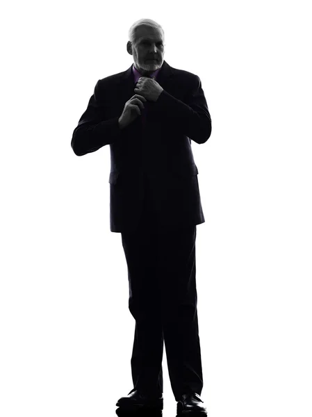 Senior zakenman Koppelverkoop up stropdas silhouet — Stockfoto