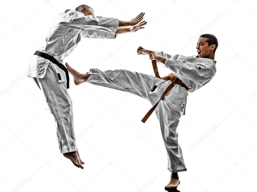 Resultado de imagem para karatê