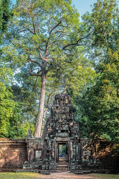 Tor zu Angkor Thom Kambodscha — Stockfoto