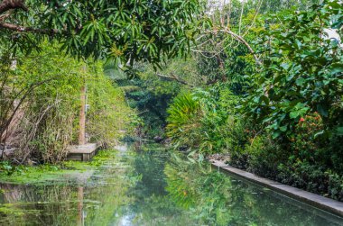 Amphawa bangkok önemsizden Tayland