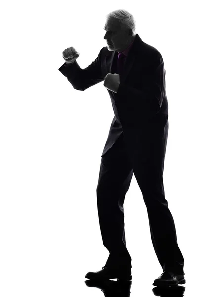 Senior business man punching the air silhouette silhouette — Stock Photo, Image