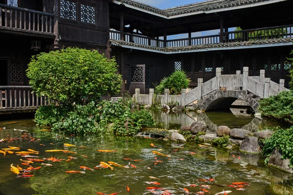 Koi fish pond Shangri La Guilin Yangshuo Guangxi  China — Stock Photo, Image