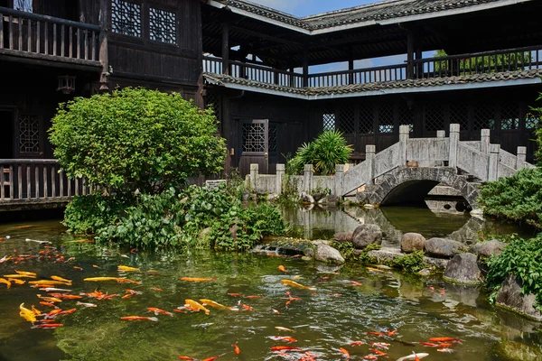 Koi Fischteich shangri la guilin yangshuo guangxi china — Stockfoto