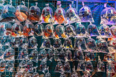 Japon balığı Mong Kok Kowloon Hong Kong Pazar 