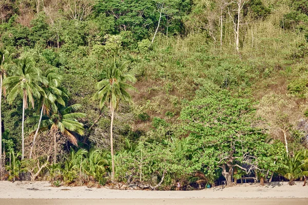 Palawan Filippinerna — Stockfoto