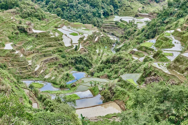 Banaue batad arrozal arrozal terraço campos — Fotografia de Stock