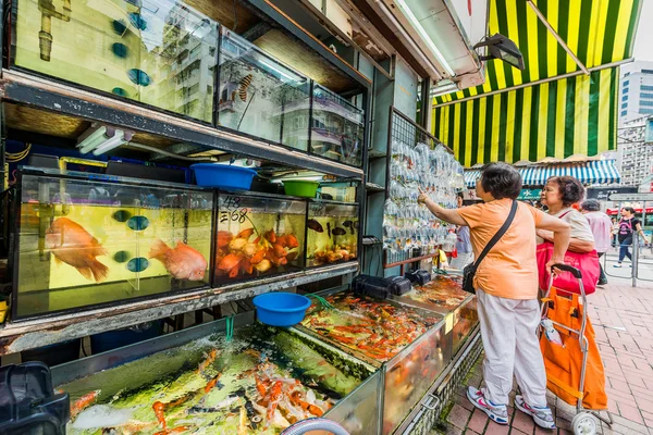 Gente comprando en el mercado de peces de colores — Foto de Stock