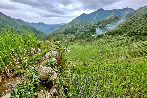 Camino en arrozales arrozales campos de terraza Filipinas — Foto de Stock