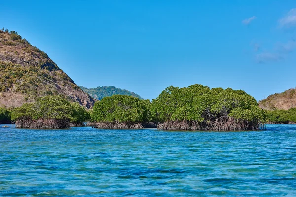 Isla de linapacán Palawan Filipinas — Foto de Stock