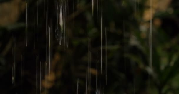 Las Gotas Lluvia Caen Del Techo Paja — Vídeos de Stock