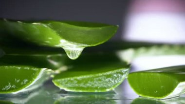 Aloe vera çiçeği ve taze yapraklı krema tenceresi.