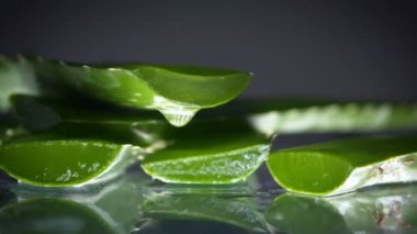 Aloe vera çiçeği ve taze yapraklı krema tenceresi.
