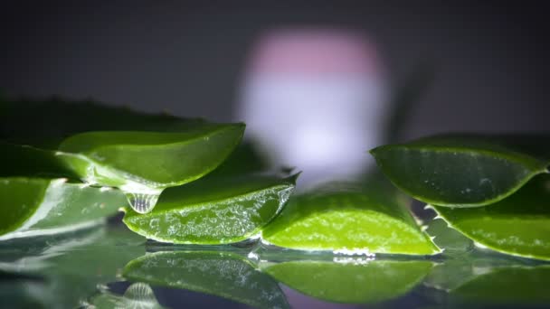 Aloe Vera Blumen Und Sahnetopf Mit Frischem Blatt — Stockvideo