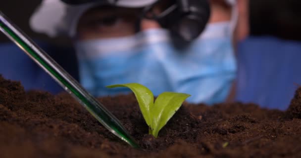 研究室の技術者は 水耕栽培の上に立つ温室で緑の葉を調べる — ストック動画