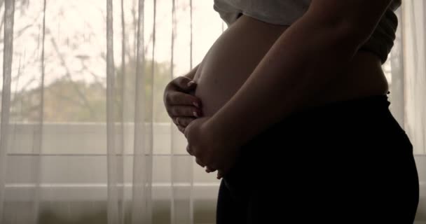 Mujer Embarazada Acariciando Estómago Mientras Está Pie Cerca Ventana Durante — Vídeo de stock
