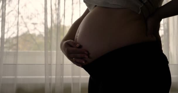 Mujer Embarazada Acariciando Estómago Mientras Está Pie Cerca Ventana Durante — Vídeo de stock
