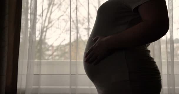 Těhotná Žena Hladí Svůj Žaludek Zatímco Stojí Okna Úsvitu — Stock video