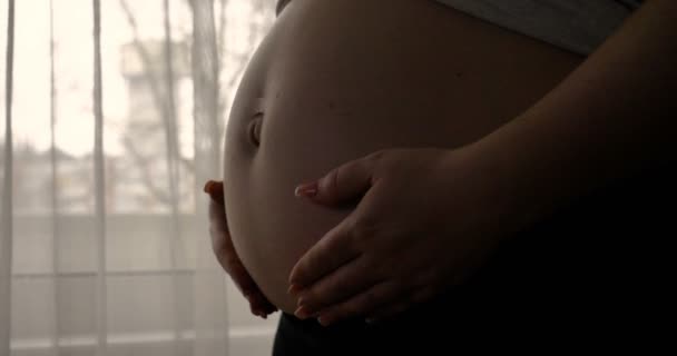 Mujer Embarazada Acariciando Estómago Mientras Está Pie Cerca Ventana Durante — Vídeos de Stock