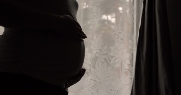 Pregnant Woman Stroking Her Stomach While Standing Window Dawn — Stock Video