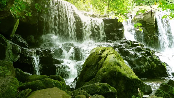 Оазис зеленої водоспад — стокове фото