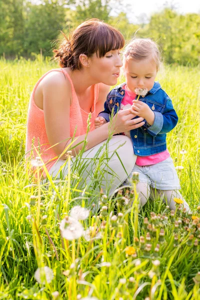 Spring — Stock Photo, Image