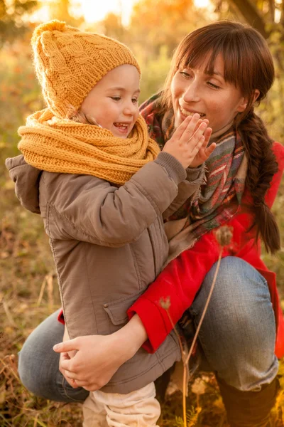 Leaves falling — Stock Photo, Image