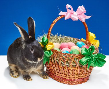 Güzel bunny Paskalya yumurtaları sepetle yakınındaki