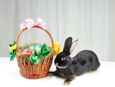 Bir beyaz arka plan güzel tavşan ve sepet yumurta ile