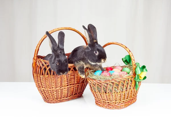 Little rabbits sitting in a basket next to Easter basket