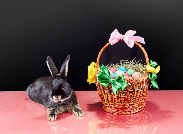 Sobre un fondo negro conejito y cesta de Pascua con reflexión sobre vidrio — Foto de Stock