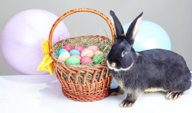 Güzel bunny Paskalya sepeti yakınındaki balonlarla süslenmiş