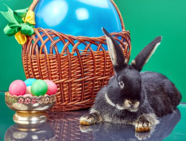 Yeşil bir arka plan üzerinde güzel bunny Paskalya sepeti ve yumurta ile vazo yakın
