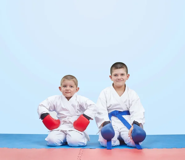 Dos hermanos atleta sentado en una alfombra en pose de karate —  Fotos de Stock