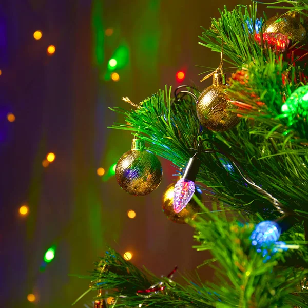 Cartão Natal Com Abeto Verde Fundo Com Luzes Parcialmente Desfocadas — Fotografia de Stock