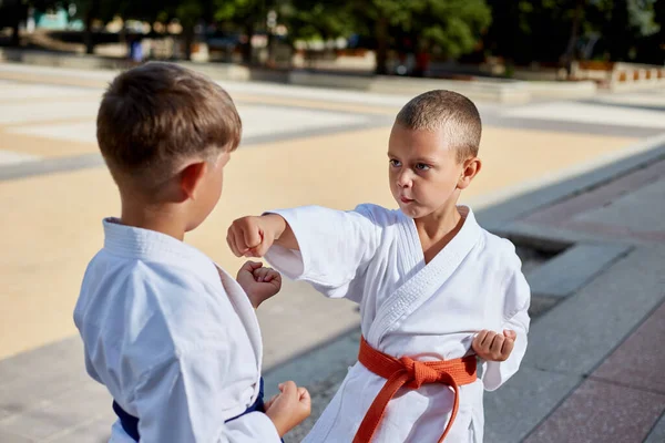 Dois Meninos Atleta Executar Socos Técnicas Defesa Livre — Fotografia de Stock