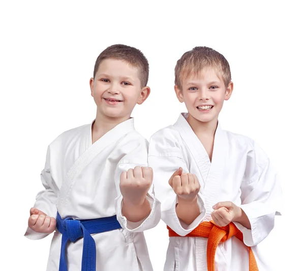 İki sporcu karate tekniği yapıyor